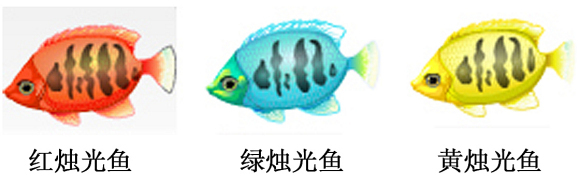 燭光魚