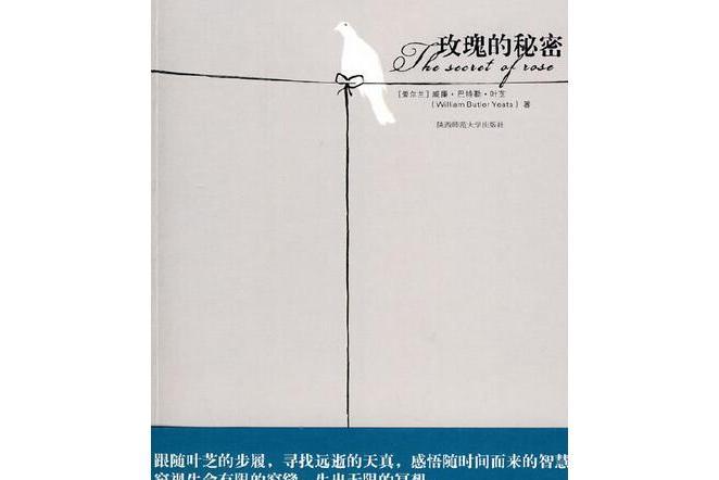 玫瑰的秘密(2008年陝西師範大學出版社出版的圖書)