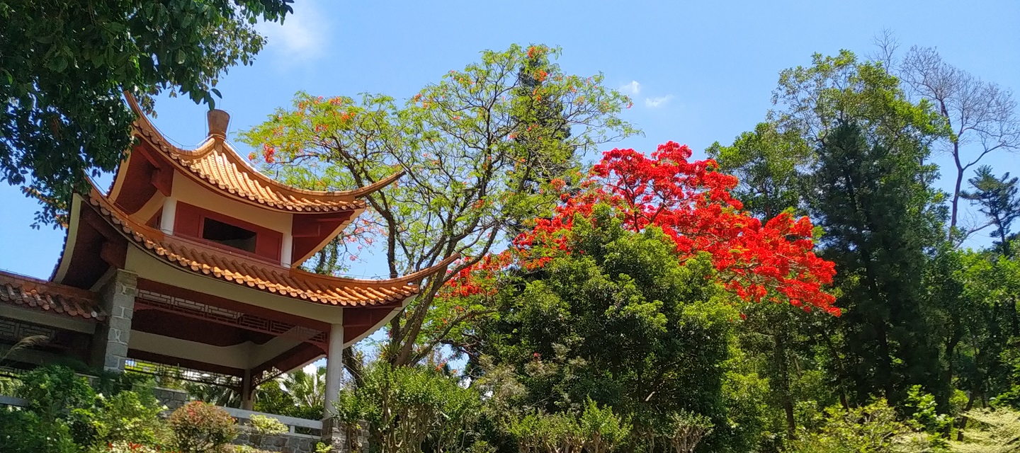 深圳市中國科學院仙湖植物園