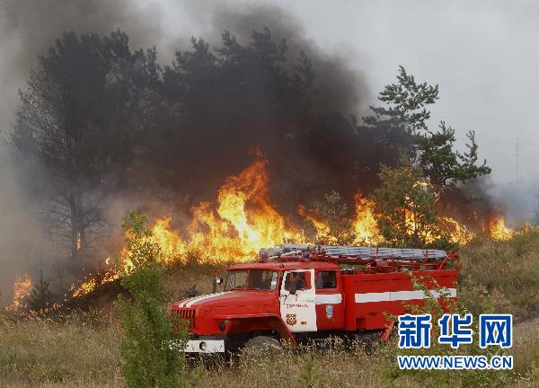 2010年俄羅斯森林大火