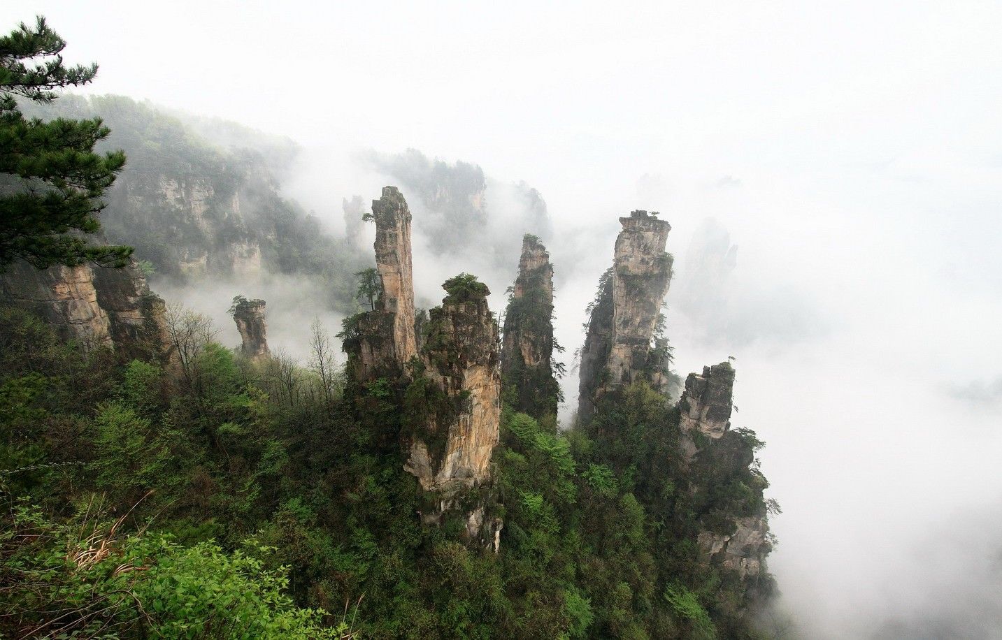 學生張家界旅遊攻略網