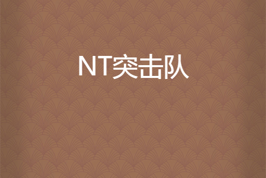 NT突擊隊