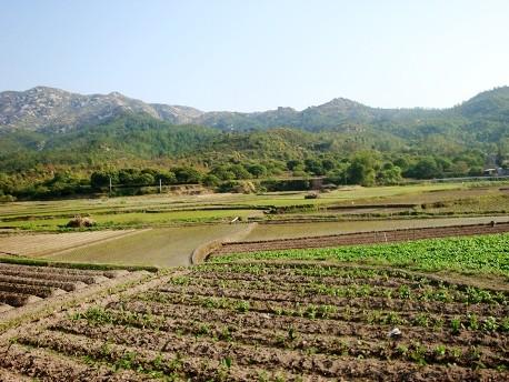 葵山村(福建省泉州市南安市洪瀨鎮葵山村)