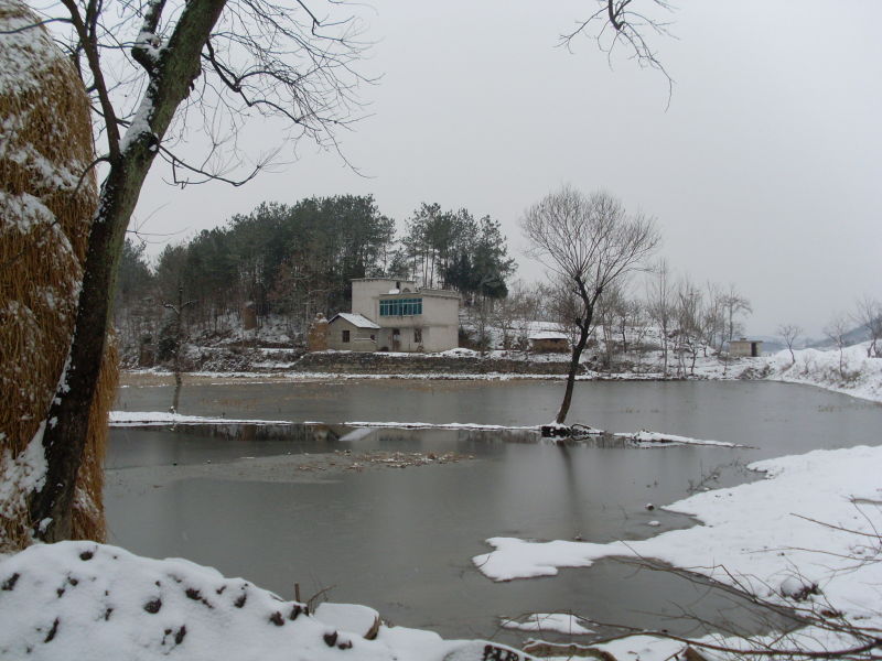 雪景