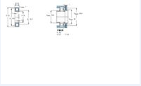 SKF NUP2205ECP軸承