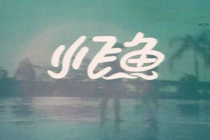 小飛魚(1983年的新加坡電視劇)