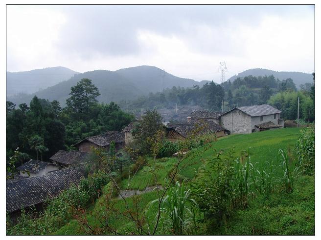 野豬坪自然村