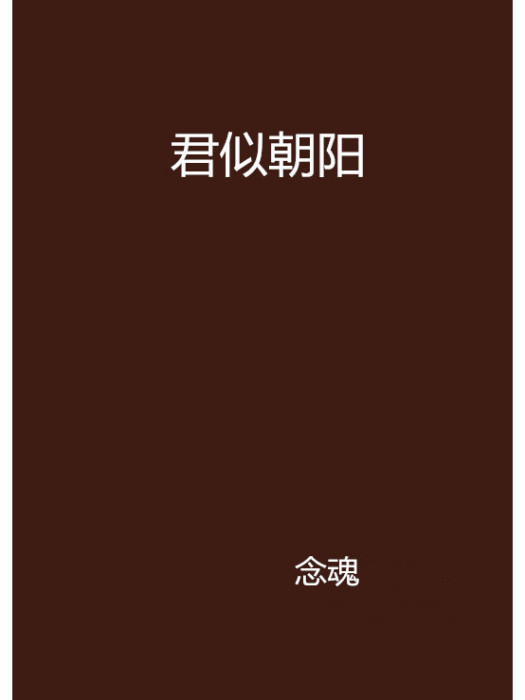 君似朝陽(念魂創作的網路小說)