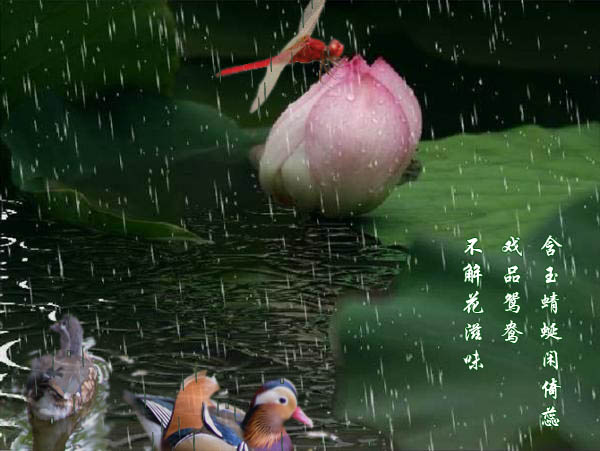 蘇幕遮·雨荷