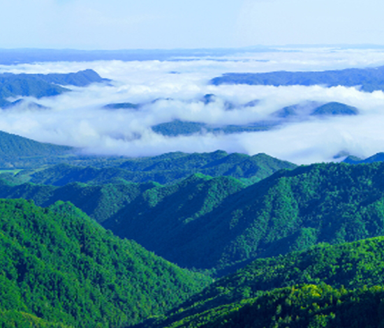 黑龍江龍江三峽國家森林公園