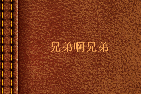 兄弟啊兄弟(網路小說)