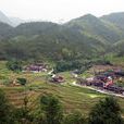 里村村