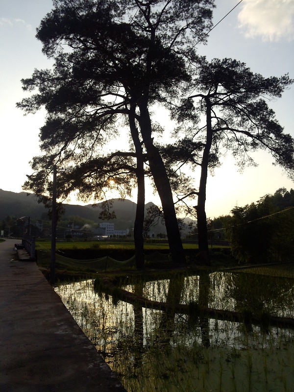 泰順新樓村