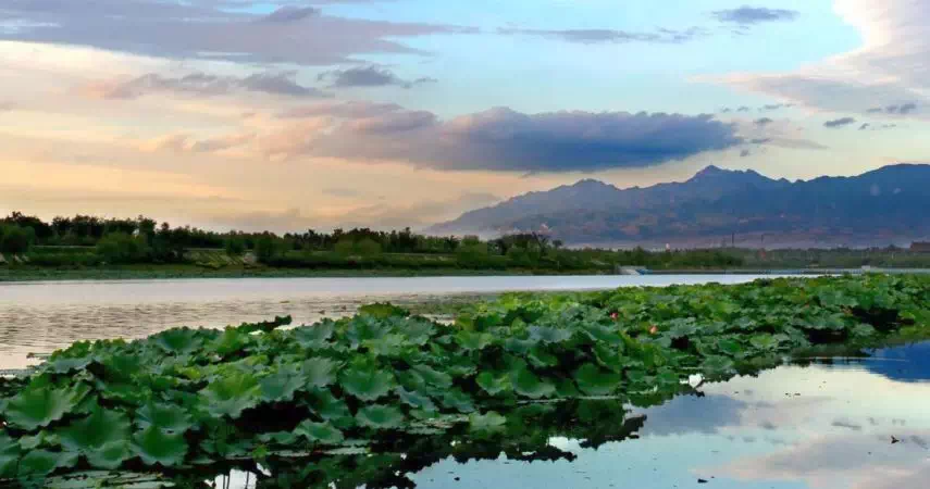 山西洪洞汾河國家濕地公園