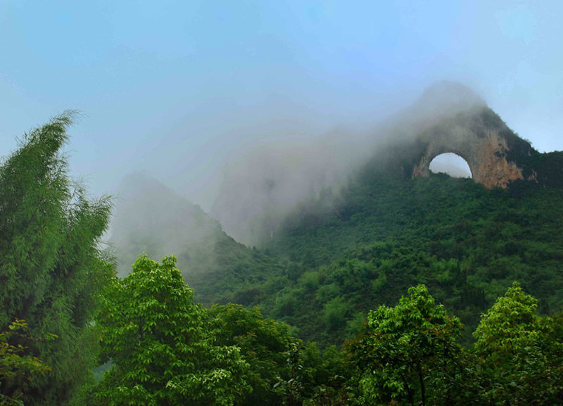 大榕樹與月亮山