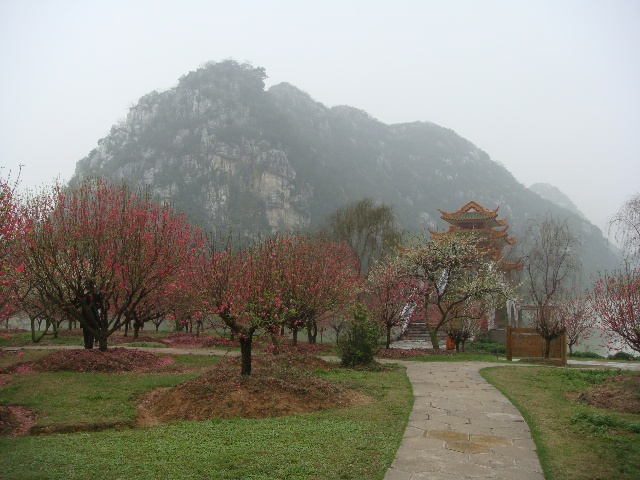 桃花島上看阿坡岩