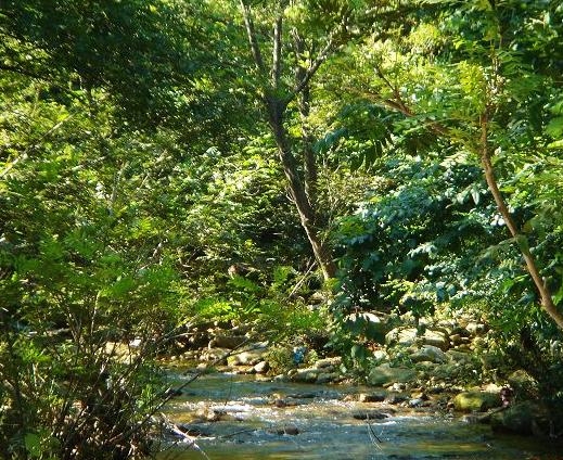 開平孔雀湖