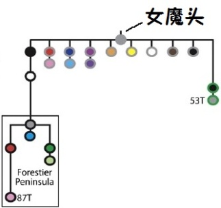 塔斯馬尼亞女魔頭