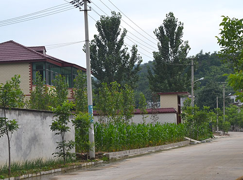 南溝門村(遼寧省朝陽市喀左縣草場鄉南溝門村)