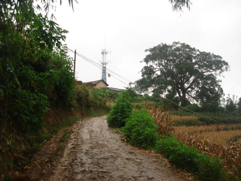 小高寨自然村