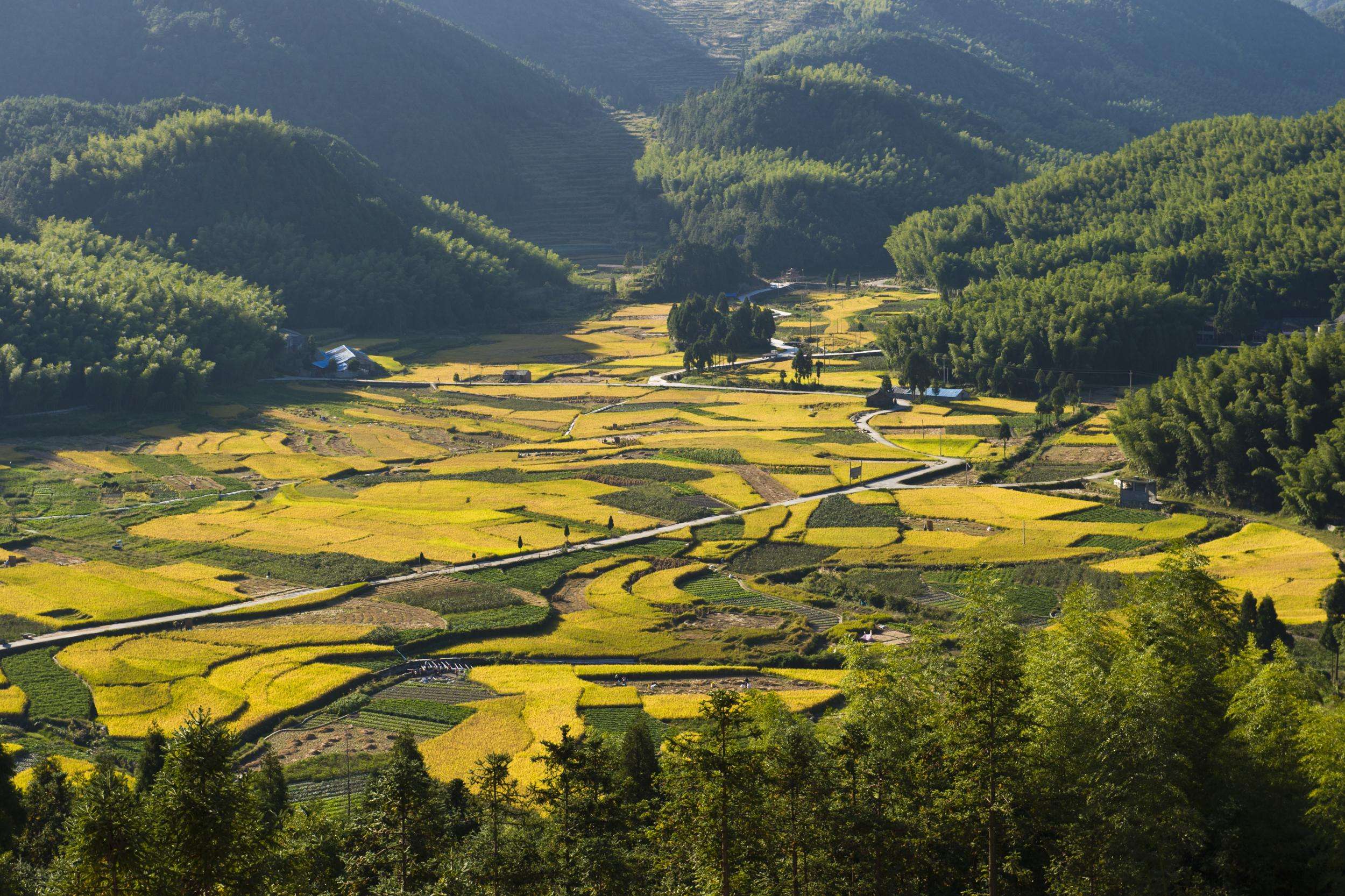 甌海地理