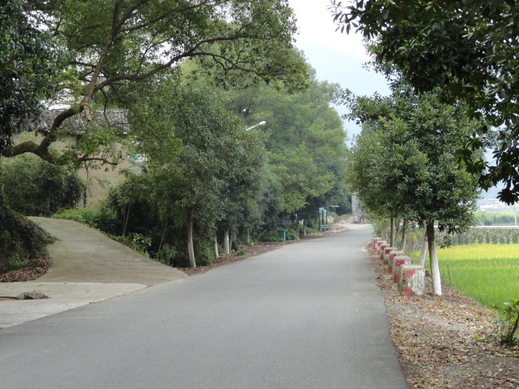 新聯村(福建省福州市閩侯縣南嶼鎮轄村)