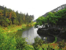 四川榮縣高石梯森林公園