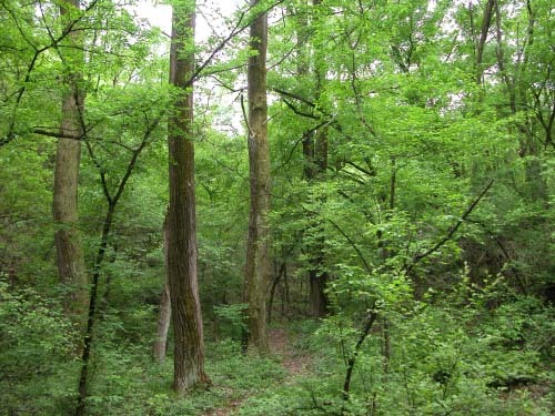 勞山國家森林公園