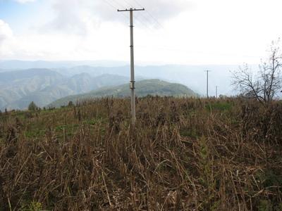 白梁子村