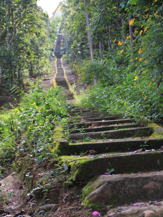 美音寺