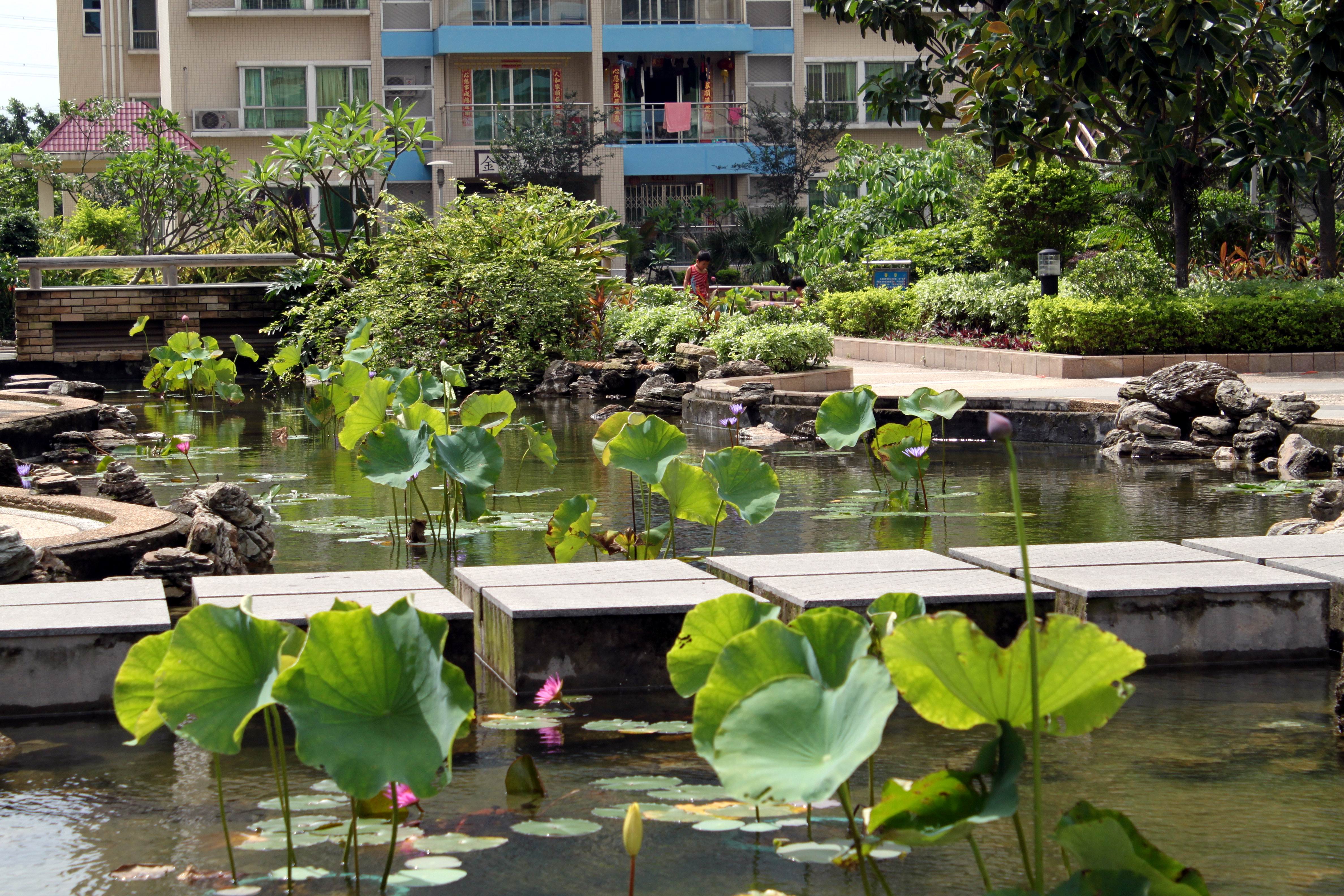 東莞金田花園