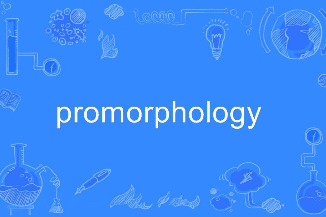 promorphology