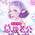 攻妻不備：總裁老公花式寵