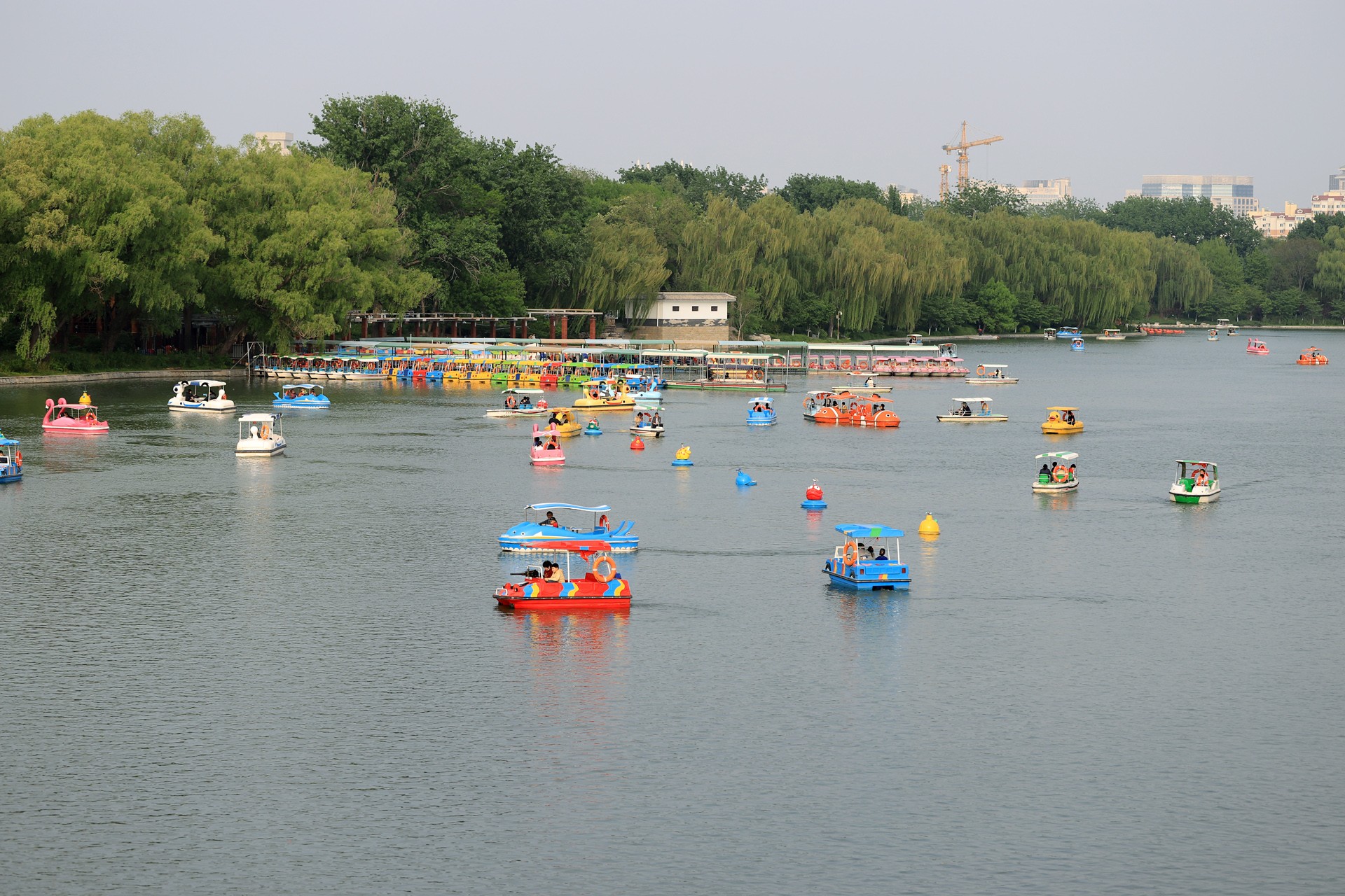 公園(漢語詞語)