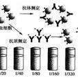 凝集試驗