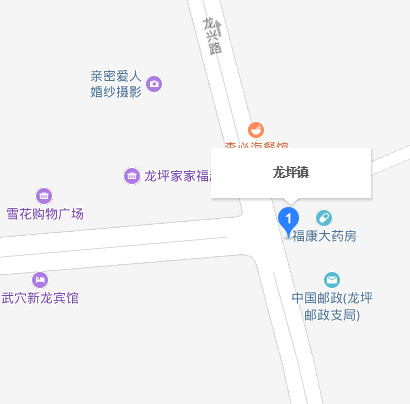 龍坪鎮(湖北省黃岡市武穴市建始縣龍坪鄉)