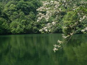 錢江源國家森林公園