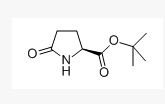 L-焦谷氨酸叔丁酯