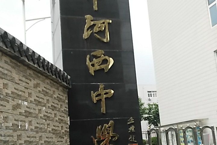 南京市河西中學