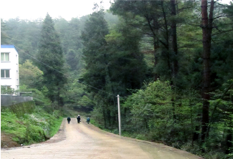 湄潭龍泉省級森林公園