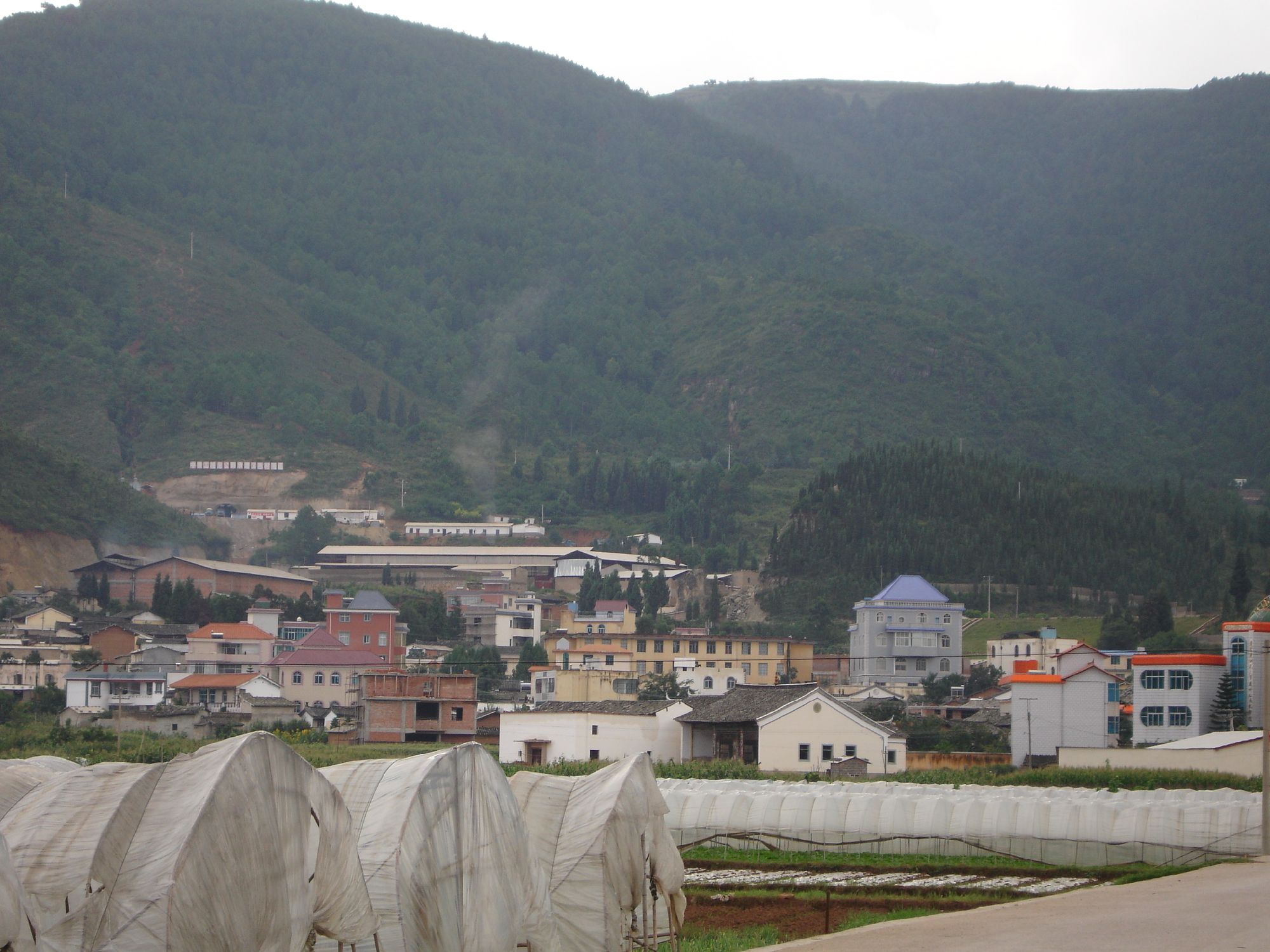 胡家營村(玉溪通海縣裡山彝族鄉五山村民委員會下轄村)