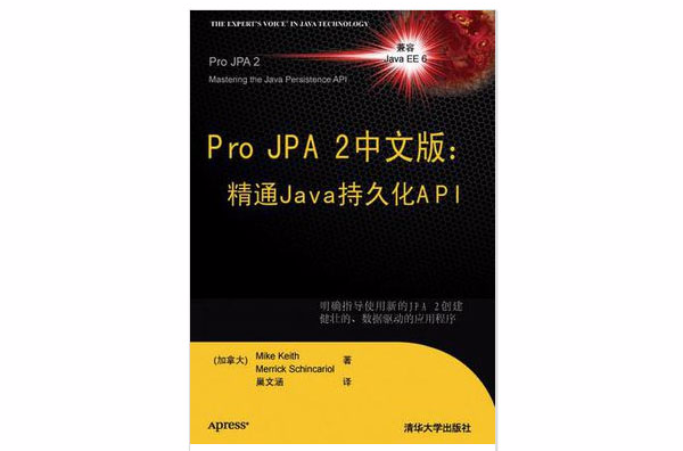 Pro JPA2中文版