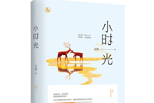 小時光(2017年江蘇鳳凰文藝出版社出版的圖書)