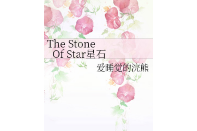 The Stone Of Star星石