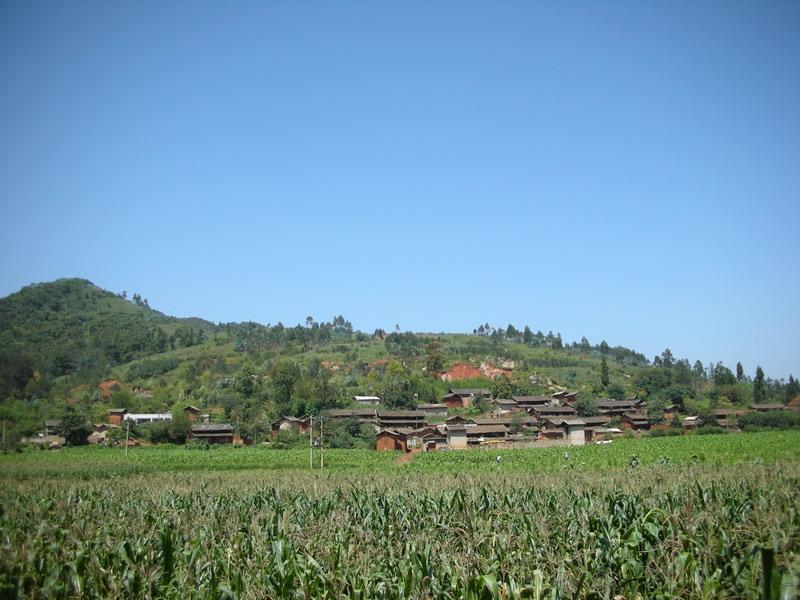 老寨村(雲南省紅河州瀘西縣午街鋪鎮下轄村)