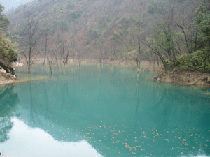 馬曹廟鎮