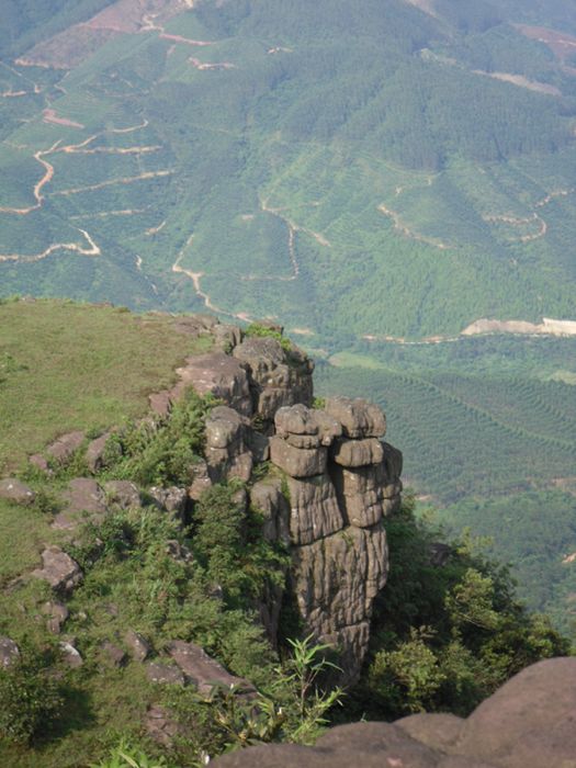 廣西王崗山自治區級自然保護區