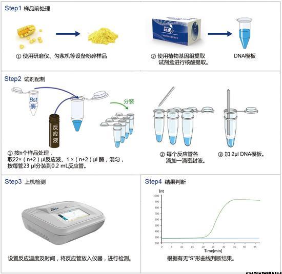 分子探針法