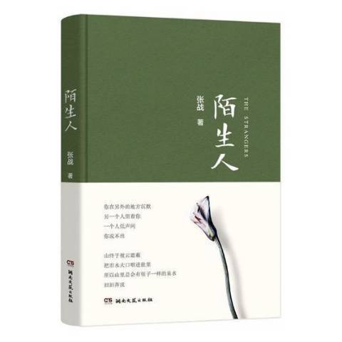 陌生人(2017年湖南文藝出版社出版的圖書)