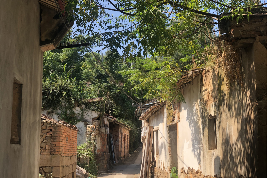 塘邊村(福建省福州市連江縣官坂鎮下轄村)